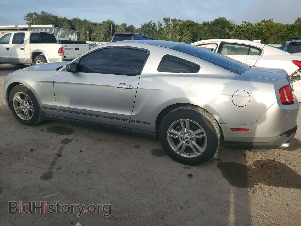 2011 FORD ALL Models - VIN: 1ZVBP8AM8B5149134 - Фото 2