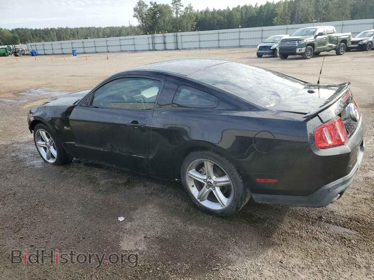 2012 FORD MUSTANG - VIN: 1ZVBP8CF3C5242434 - Фото 2