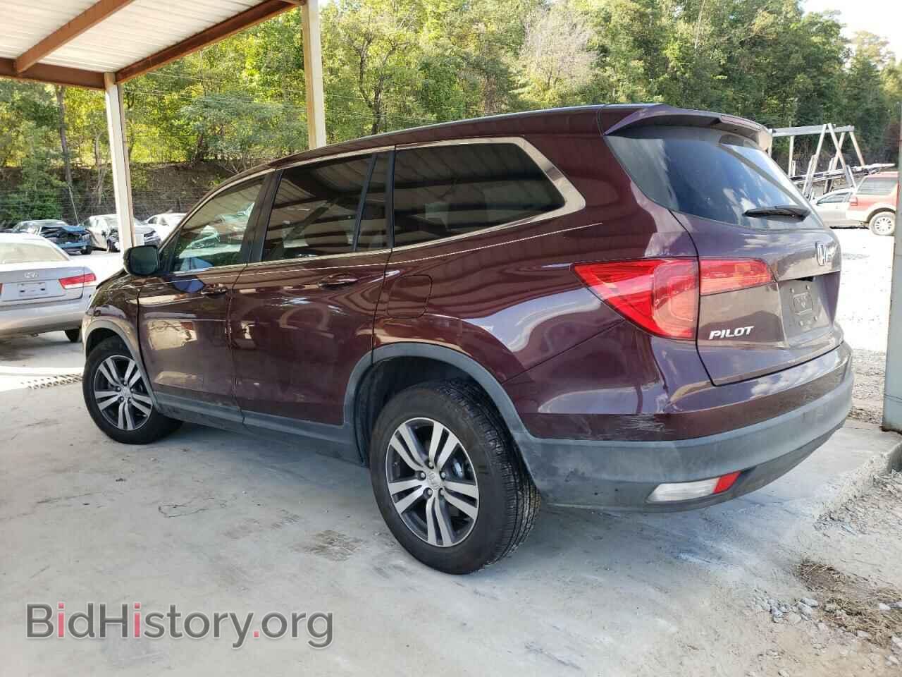 2017 HONDA PILOT - VIN: 5FNYF5H55HB004136 - Фото 2