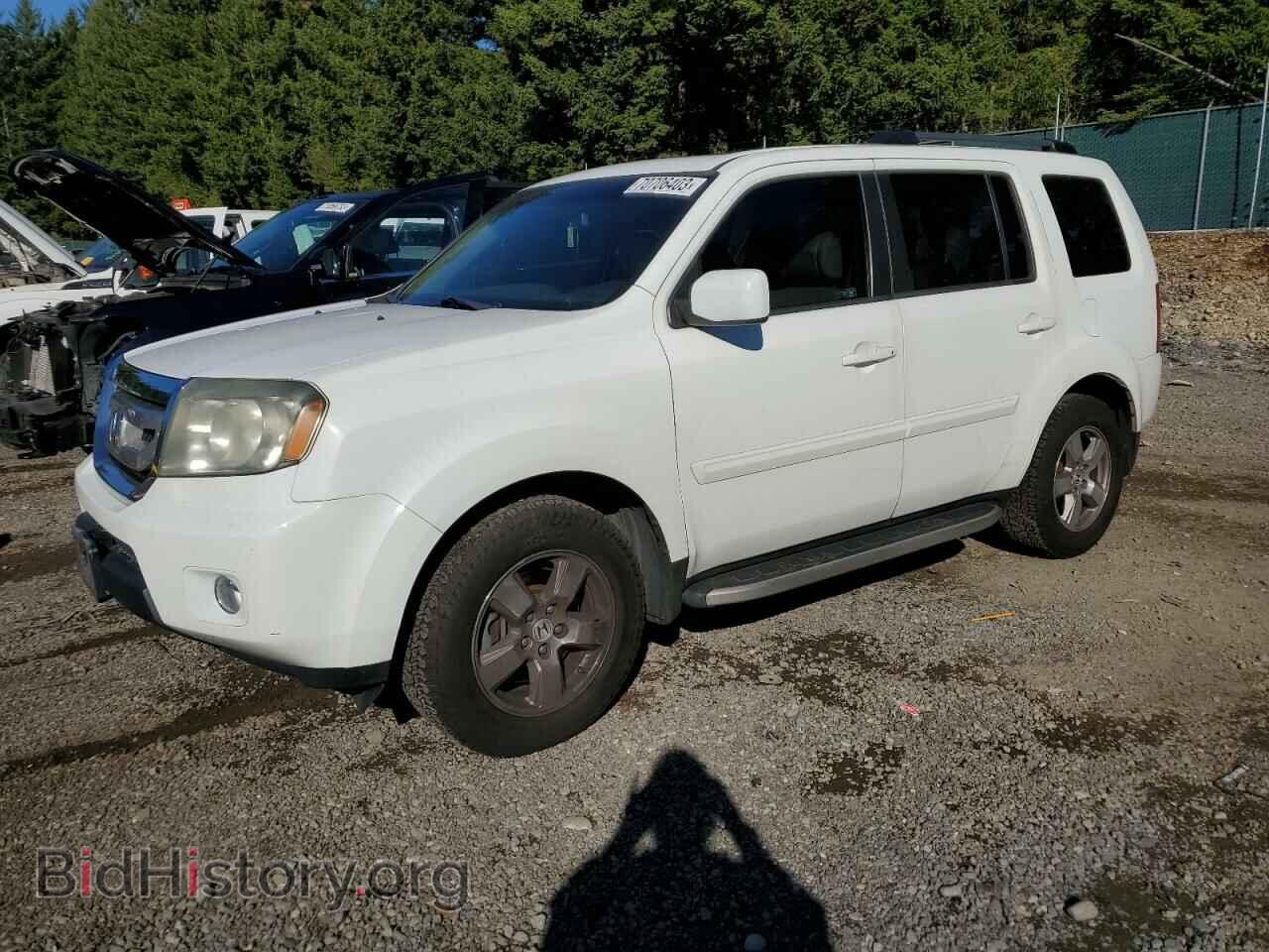 Photo 5FNYF3H54BB036913 - HONDA PILOT 2011