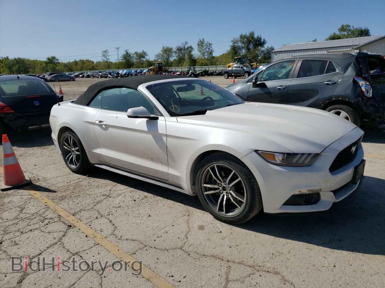 2017 FORD ALL Models - VIN: 1FATP8UH8H5273523 - Фото 4