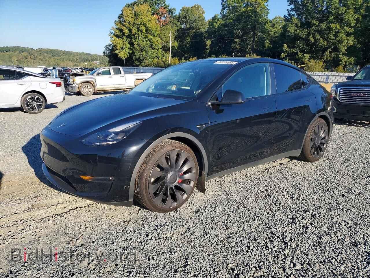 Photo 7SAYGDEF5PF590827 - TESLA MODEL Y 2023