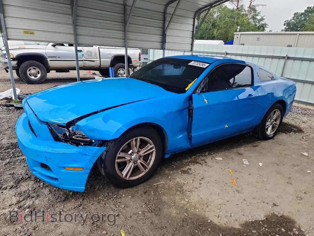Photo 1ZVBP8AM4D5241747 - FORD MUSTANG 2013