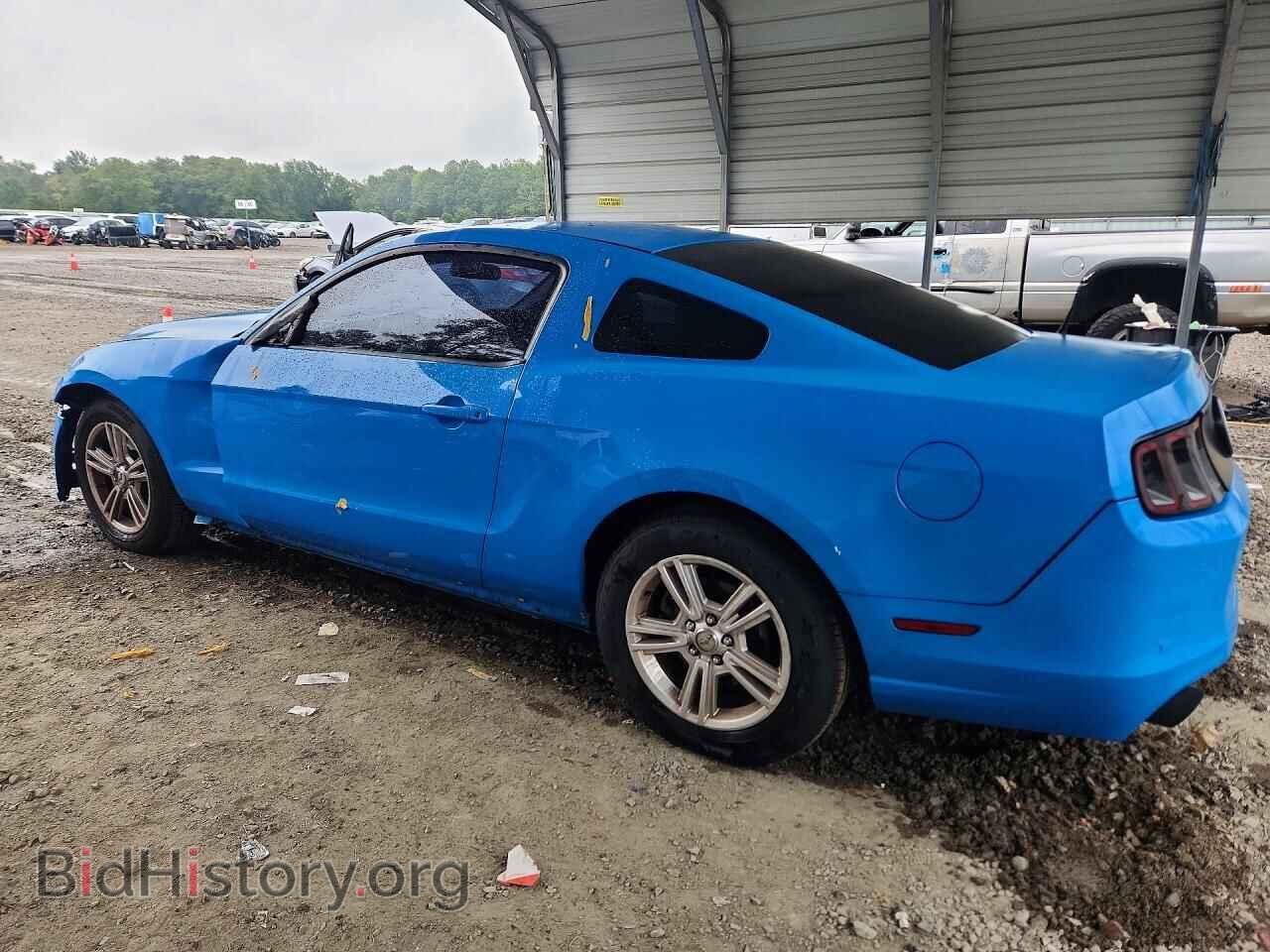 2013 FORD MUSTANG - VIN: 1ZVBP8AM4D5241747 - Photo 2