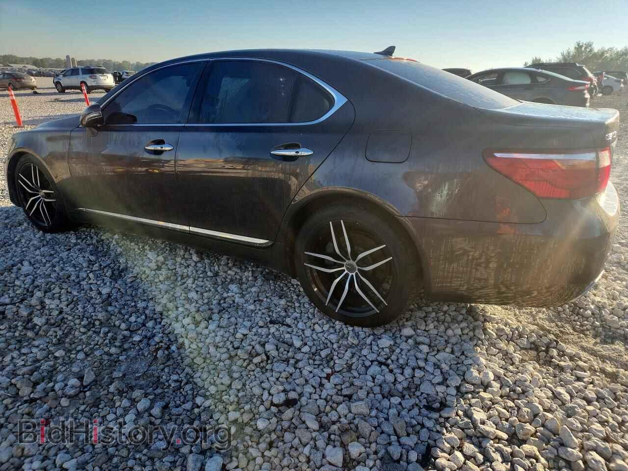 2010 LEXUS LS460 - VIN: JTHCL5EF6A5005575 - Фото 2