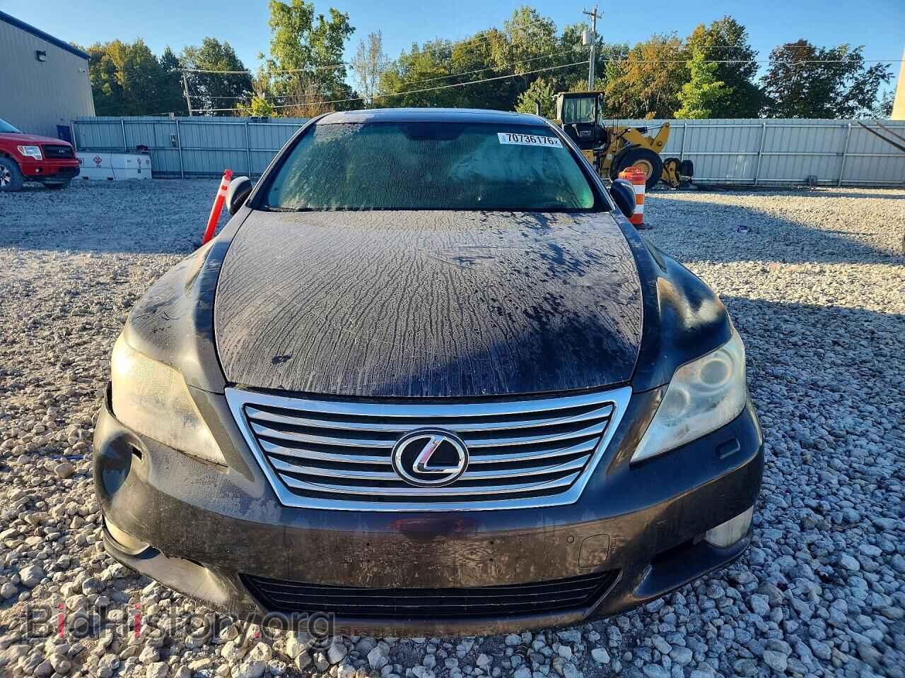 2010 LEXUS LS460 - VIN: JTHCL5EF6A5005575 - Фото 5