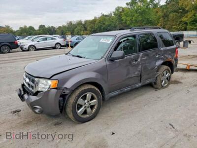 2011 Ford ESCAPE XLT, gray — VIN 1FMCU9D76BKC49547, Copart