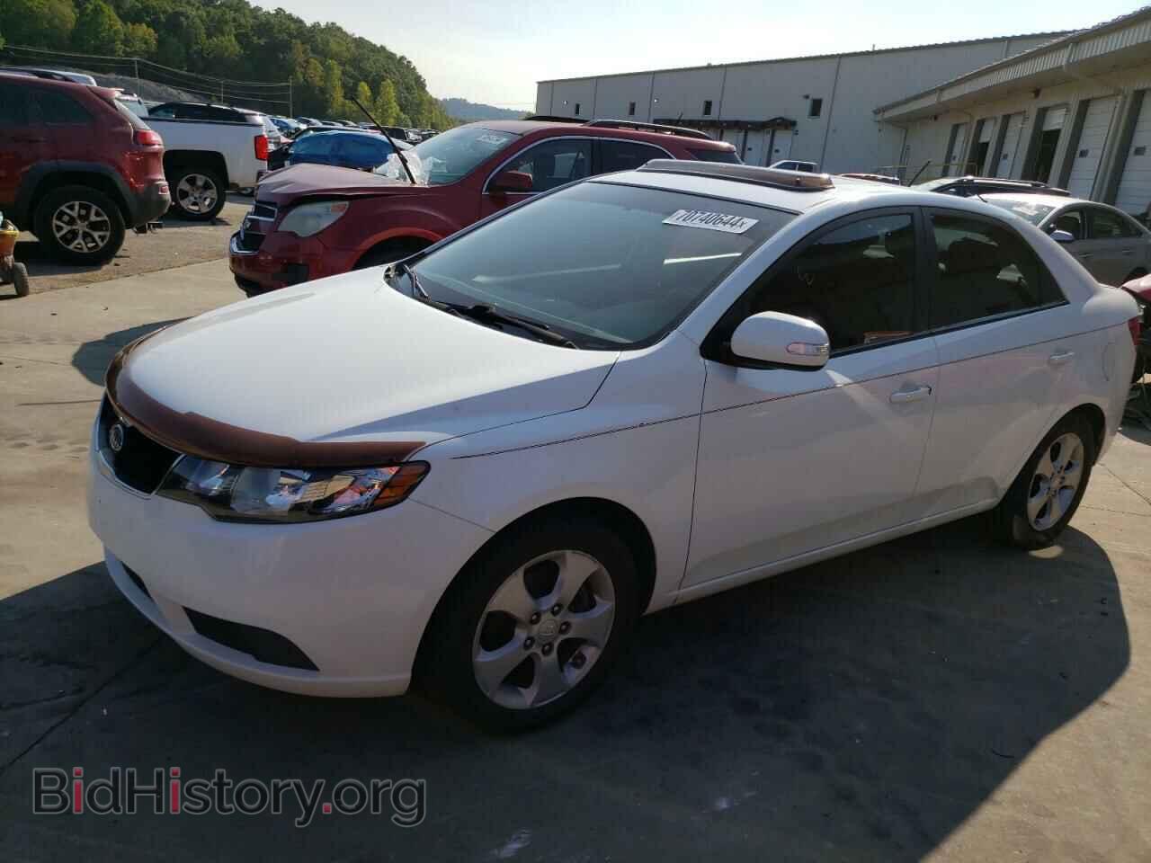 Фотография KNAFU4A28A5118093 - KIA FORTE 2010