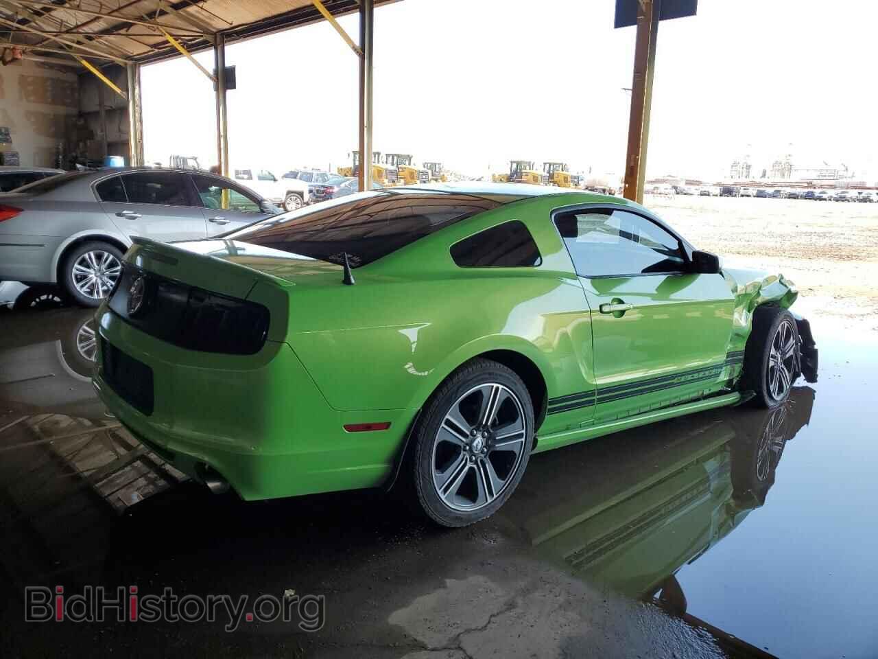 2013 FORD ALL Models - VIN: 1ZVBP8AM9D5271231 - Фото 3