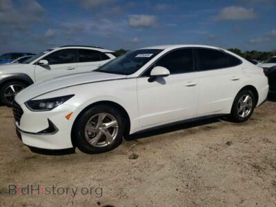 2020 Hyundai SONATA SE, белый — VIN 5NPEG4JA2LH004977, Copart