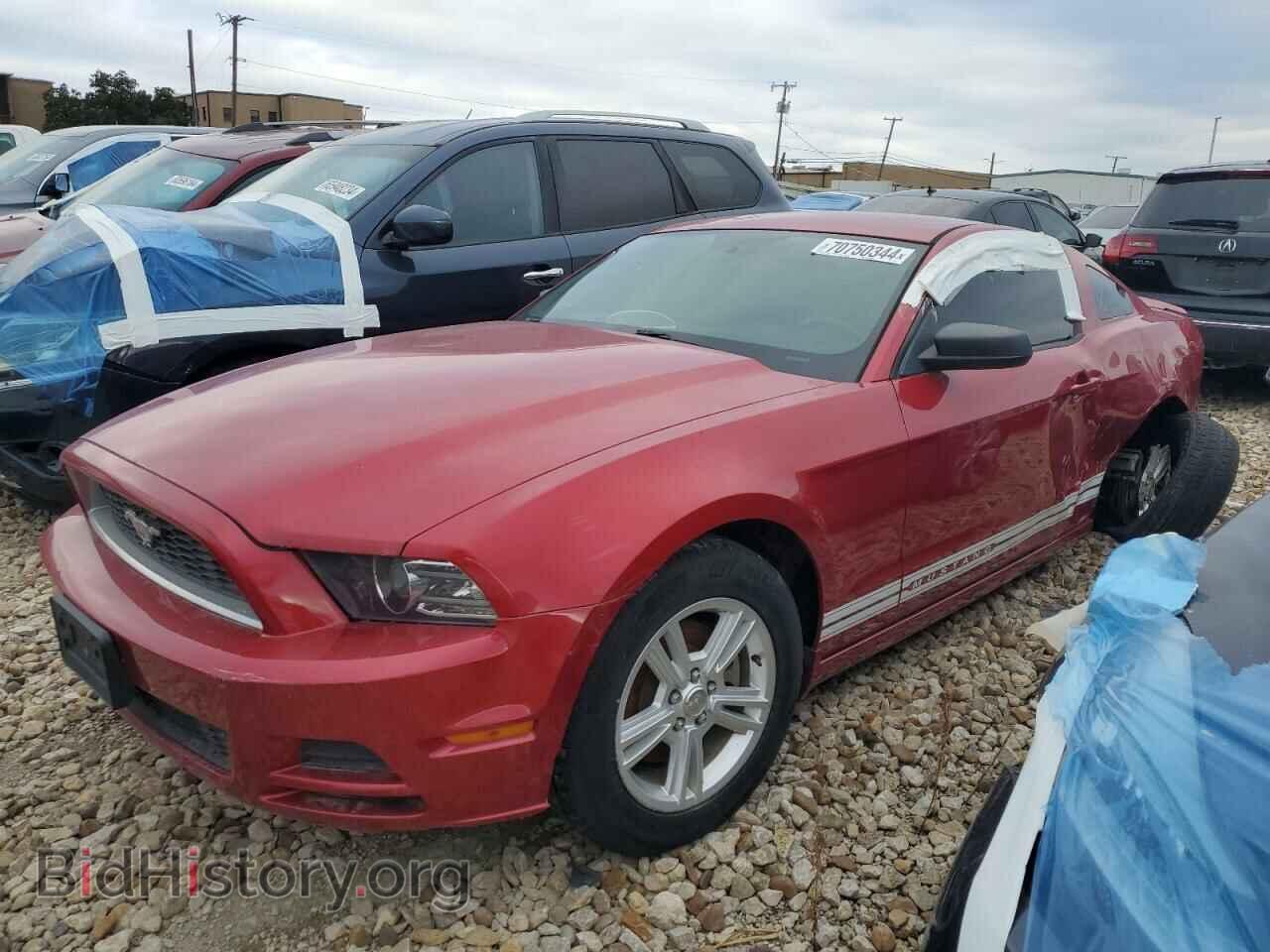 Photo 1ZVBP8AM2D5281843 - FORD ALL Models 2013