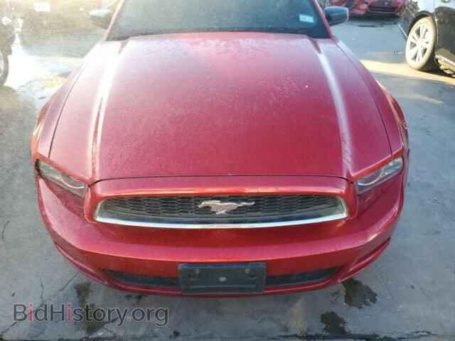 2013 Ford ALL MODELS (VIN 1ZVBP8AM2D5281843) — фото 11 из 12