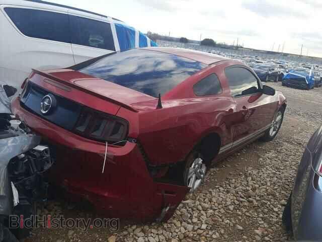 2013 FORD ALL Models - VIN: 1ZVBP8AM2D5281843 - Photo 3
