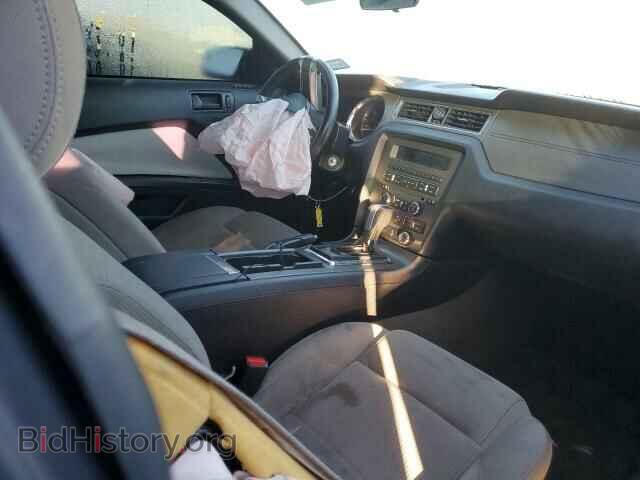 2013 FORD ALL Models - VIN: 1ZVBP8AM2D5281843 - Photo 8