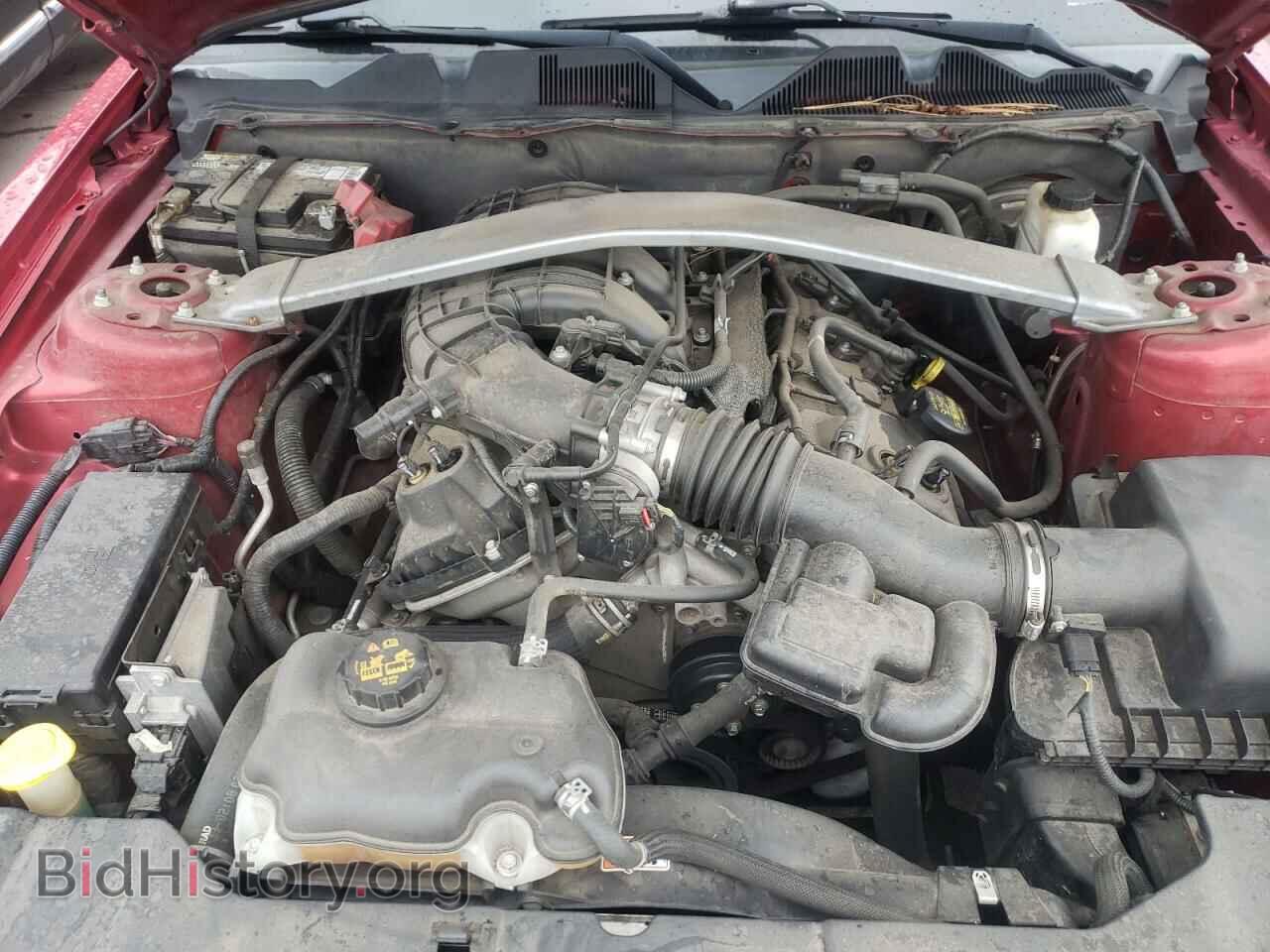 2013 FORD MUSTANG - VIN: 1ZVBP8AM7D5200710 - Фото 7