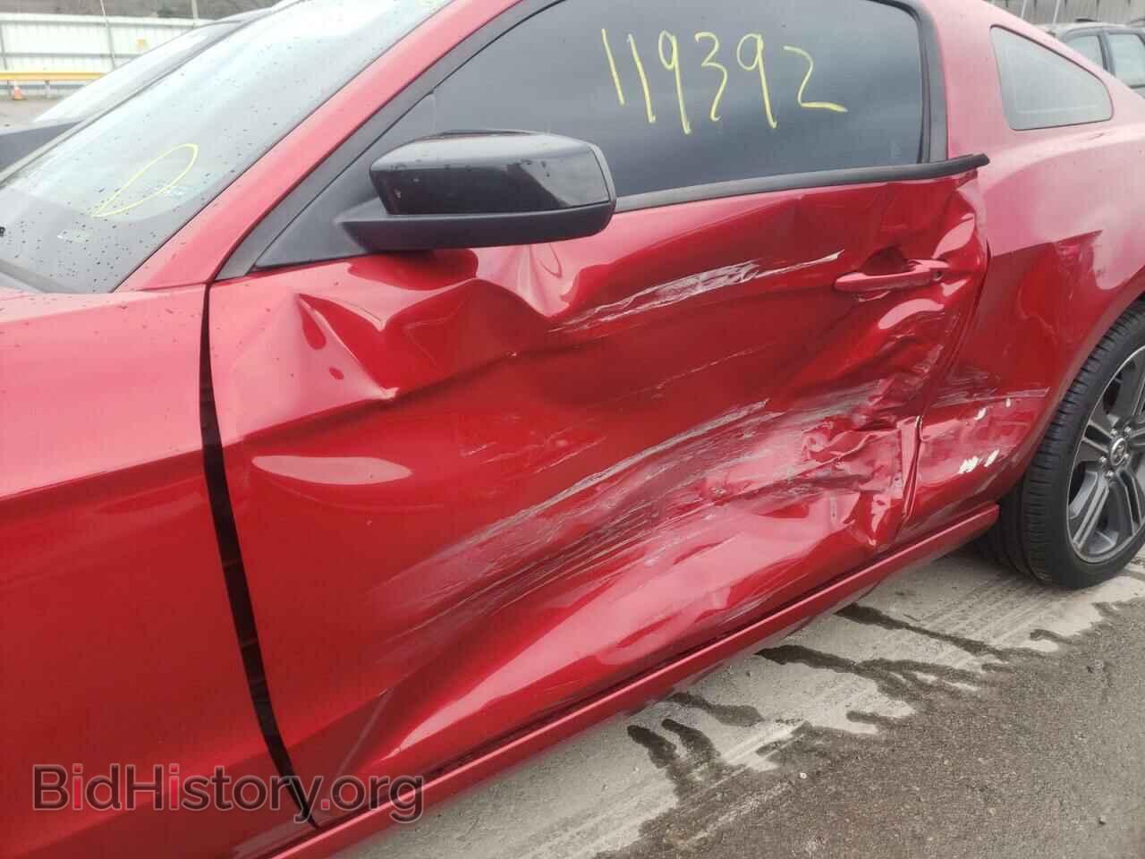 2013 FORD MUSTANG - VIN: 1ZVBP8AM7D5200710 - Фото 9