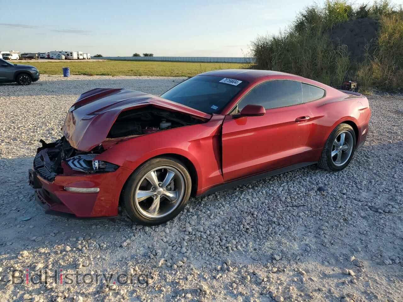 Фотография 1FA6P8TH7L5124334 - FORD ALL Models 2020