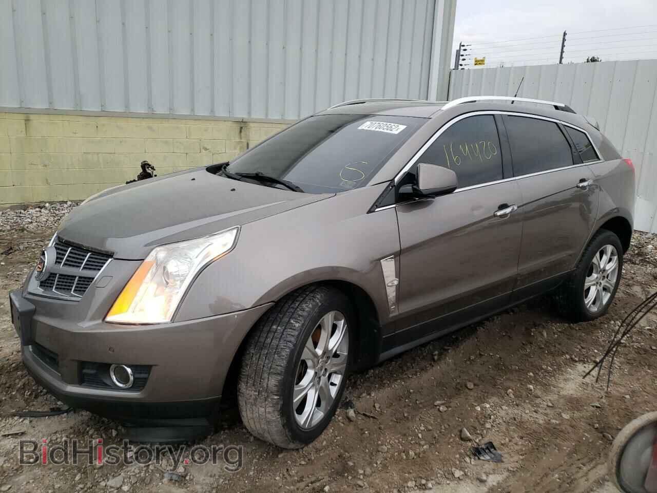 Фотография 3GYFNFEY7BS509070 - CADILLAC SRX 2011