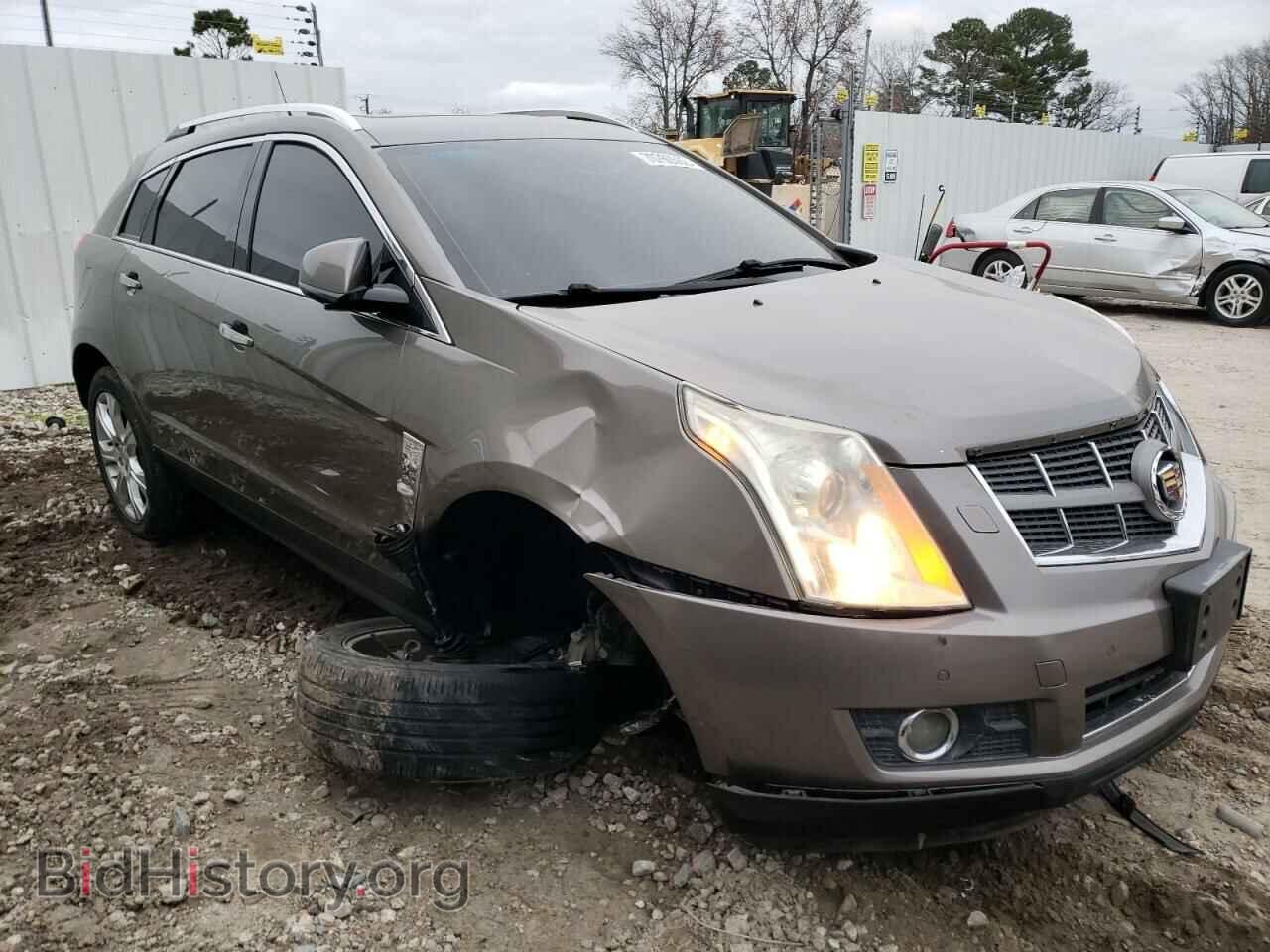 2011 CADILLAC SRX - VIN: 3GYFNFEY7BS509070 - Фото 4