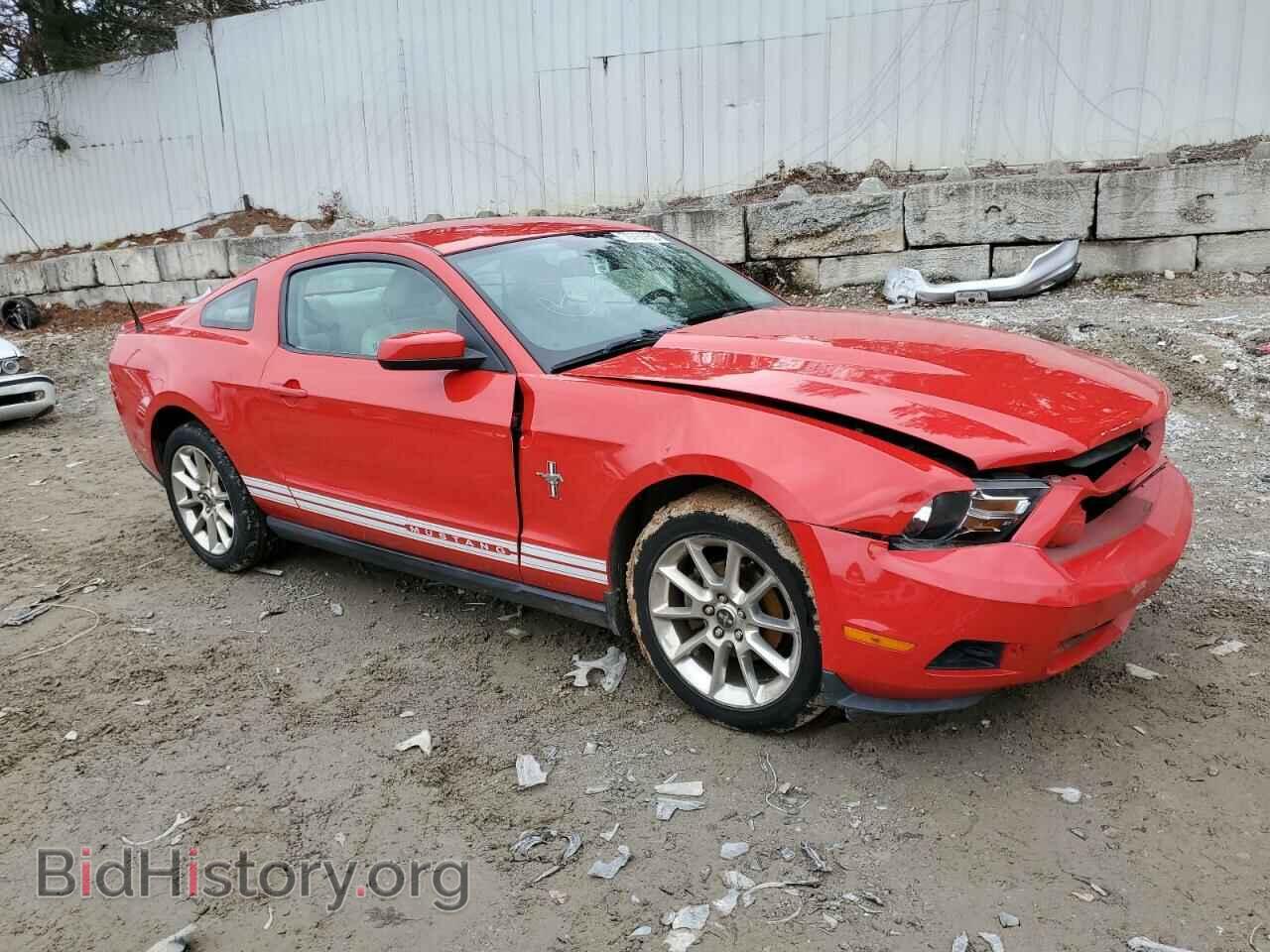 2010 FORD MUSTANG - VIN: 1ZVBP8AN0A5155999 - Фото 4
