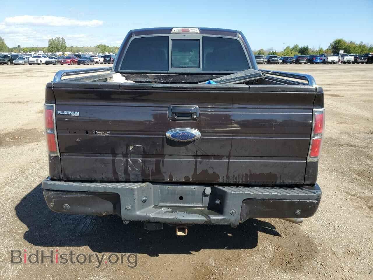 2010 FORD F-150 - VIN: 1FTFW1EV2AFA46561 - Фото 6