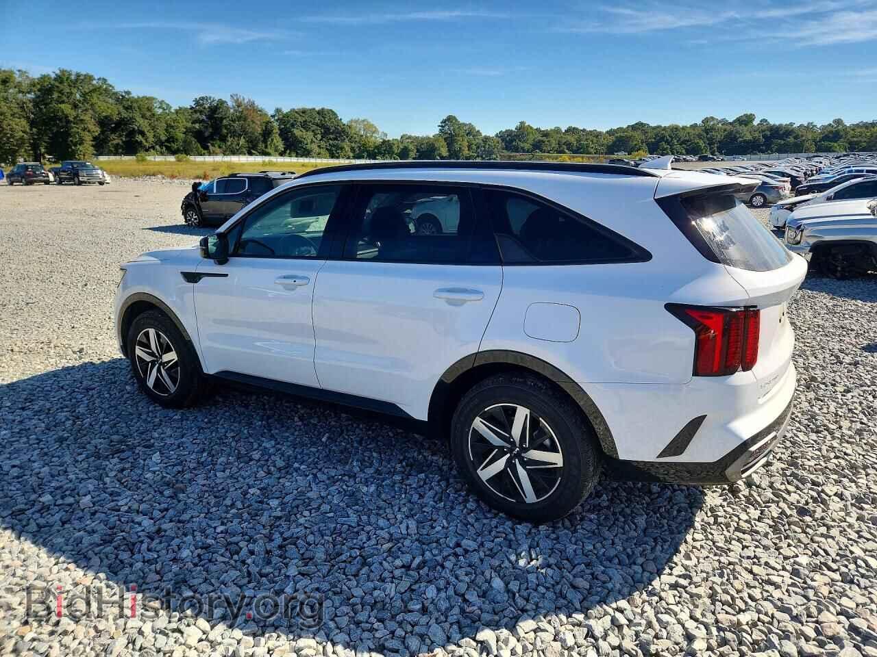 2023 KIA SORENTO - VIN: 5XYRL4LC2PG169257 - Photo 2