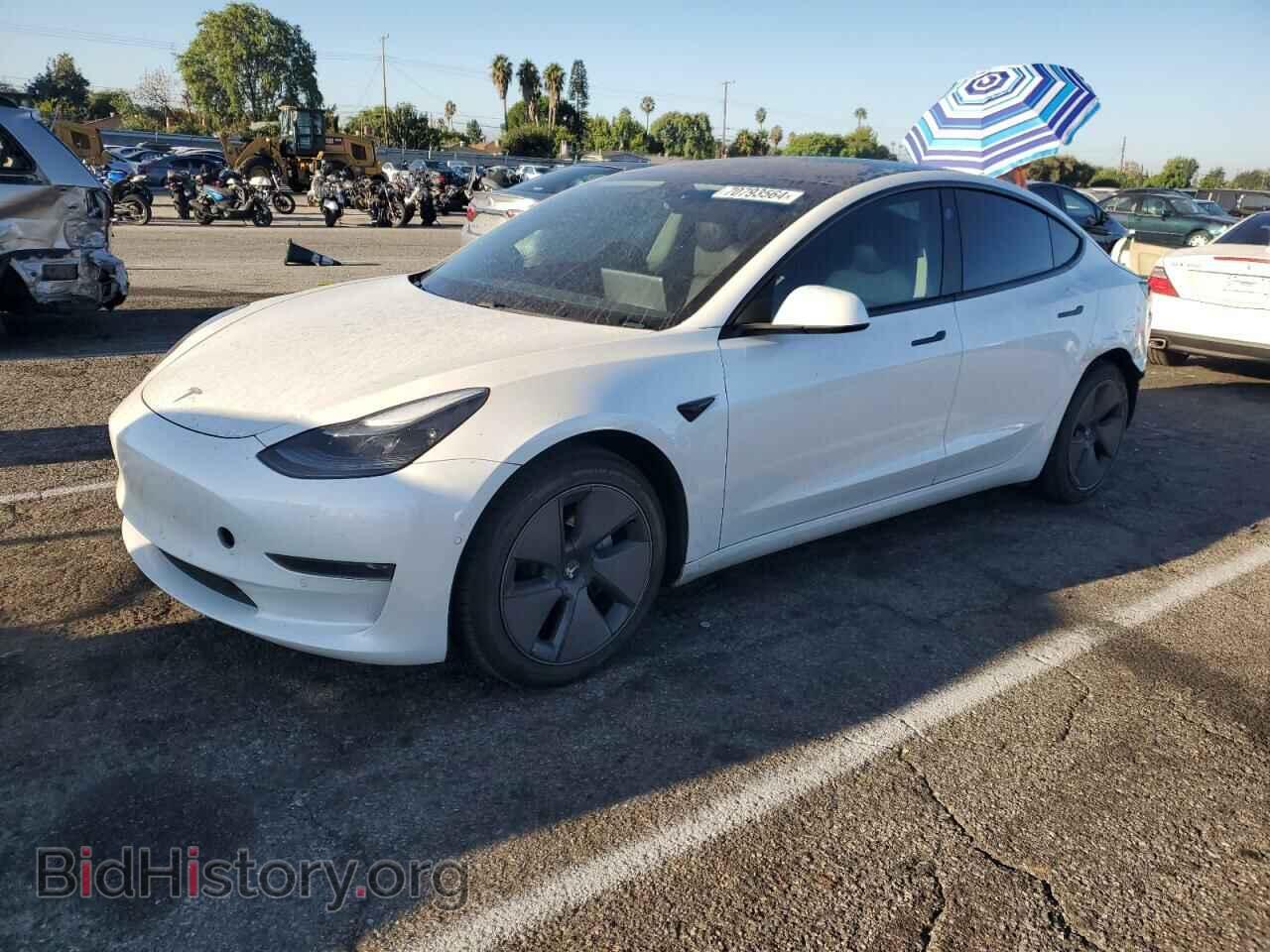 Photo 5YJ3E1EA6MF929669 - TESLA MODEL 3 2021