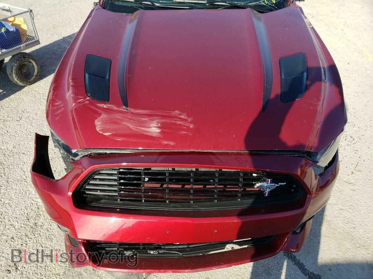 2017 FORD MUSTANG - VIN: 1FATP8FF7H5345985 - Фото 7