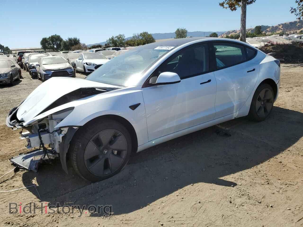 Photo 5YJ3E1EB9PF386539 - TESLA MODEL 3 2023