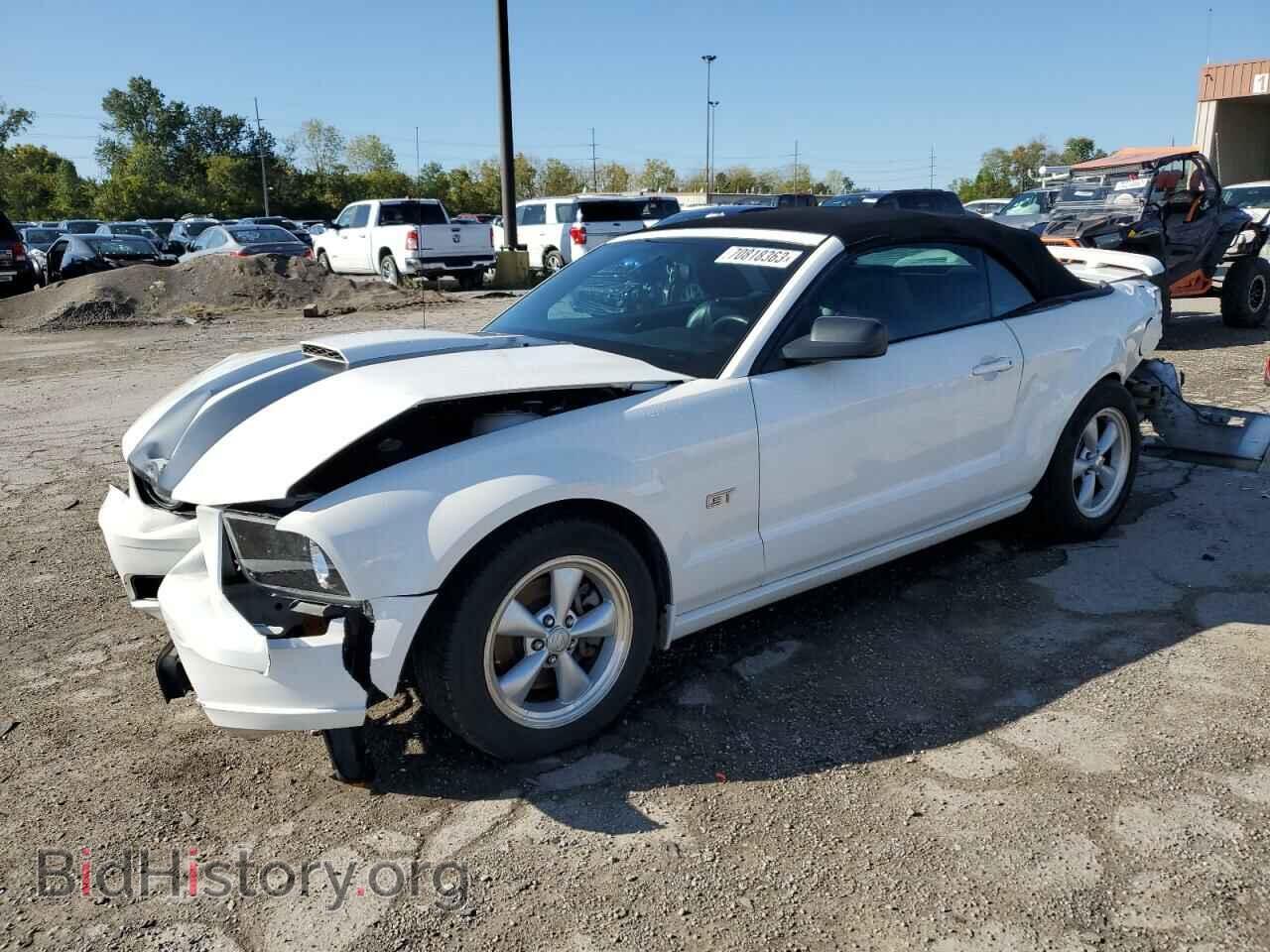 Фотография 1ZVHT85H485104476 - FORD MUSTANG 2008