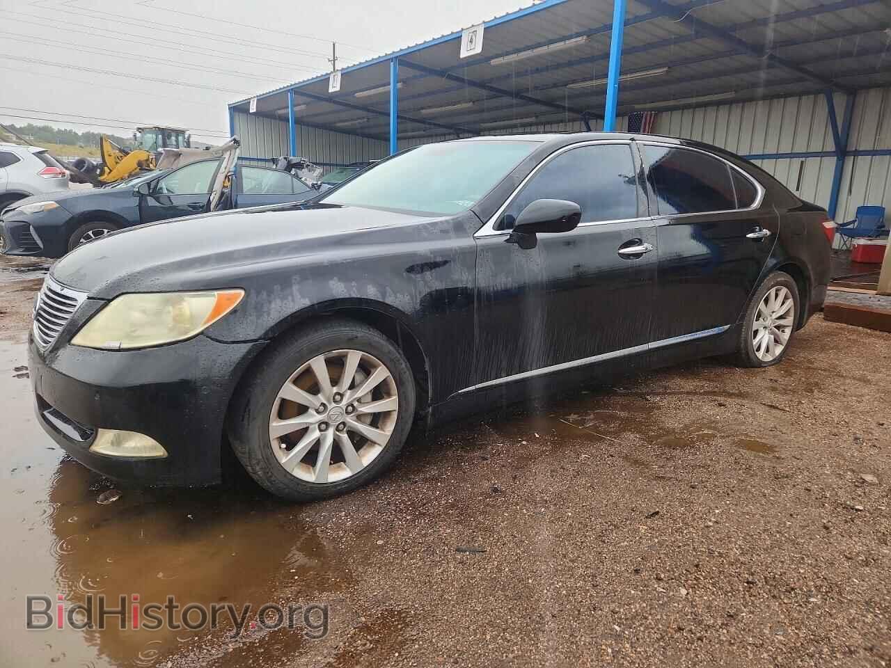 Фотография JTHGL46F175009150 - LEXUS LS460 2007