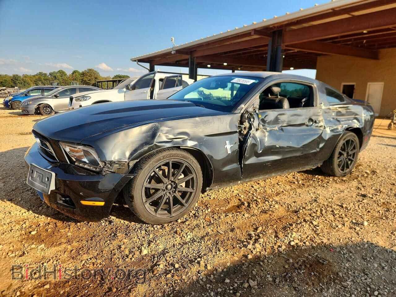 Фотография 1ZVBP8AN3A5114895 - FORD MUSTANG 2010