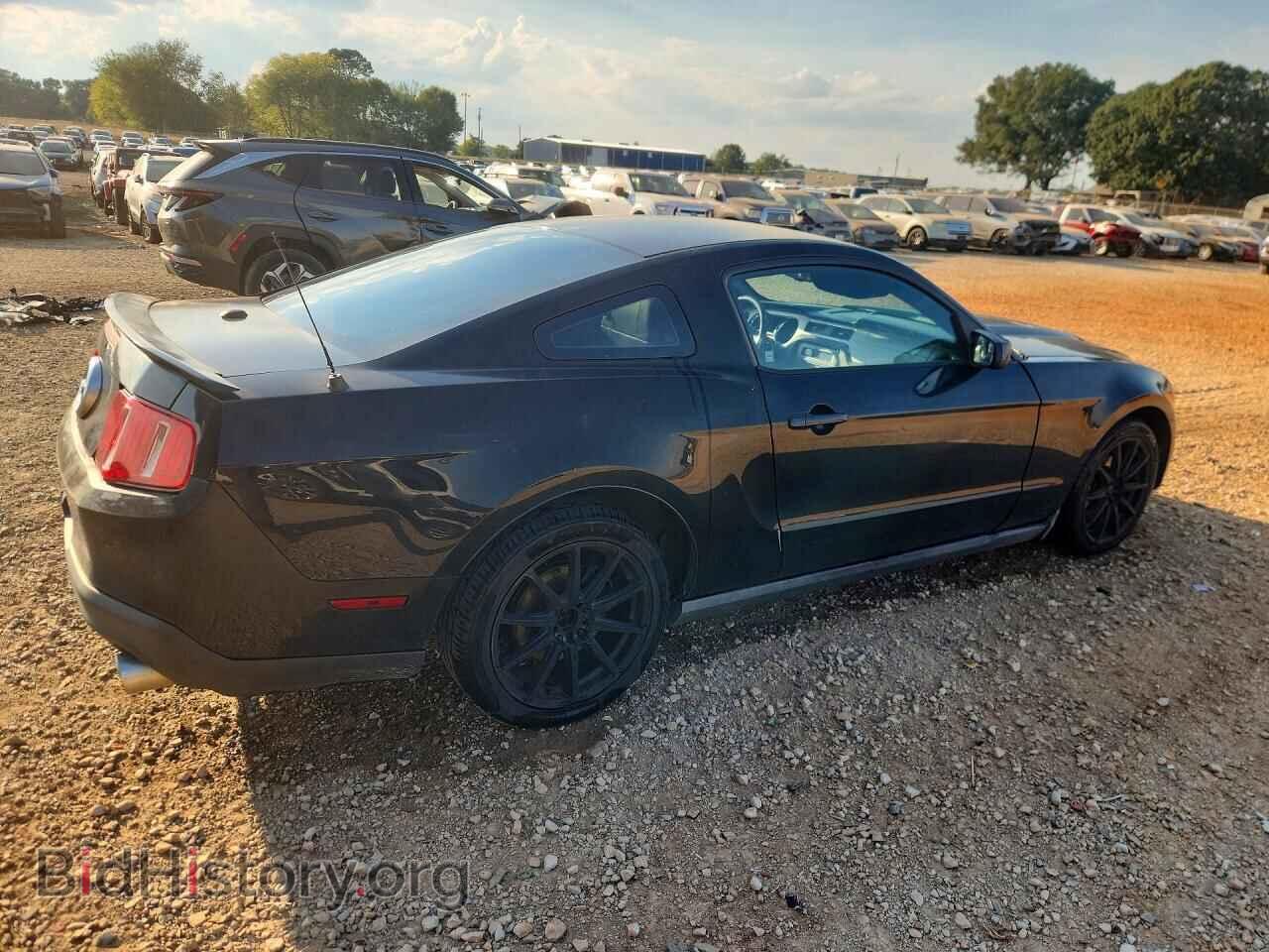 2010 FORD MUSTANG - VIN: 1ZVBP8AN3A5114895 - Фото 3