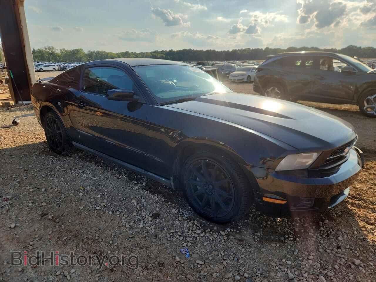 2010 FORD MUSTANG - VIN: 1ZVBP8AN3A5114895 - Фото 4