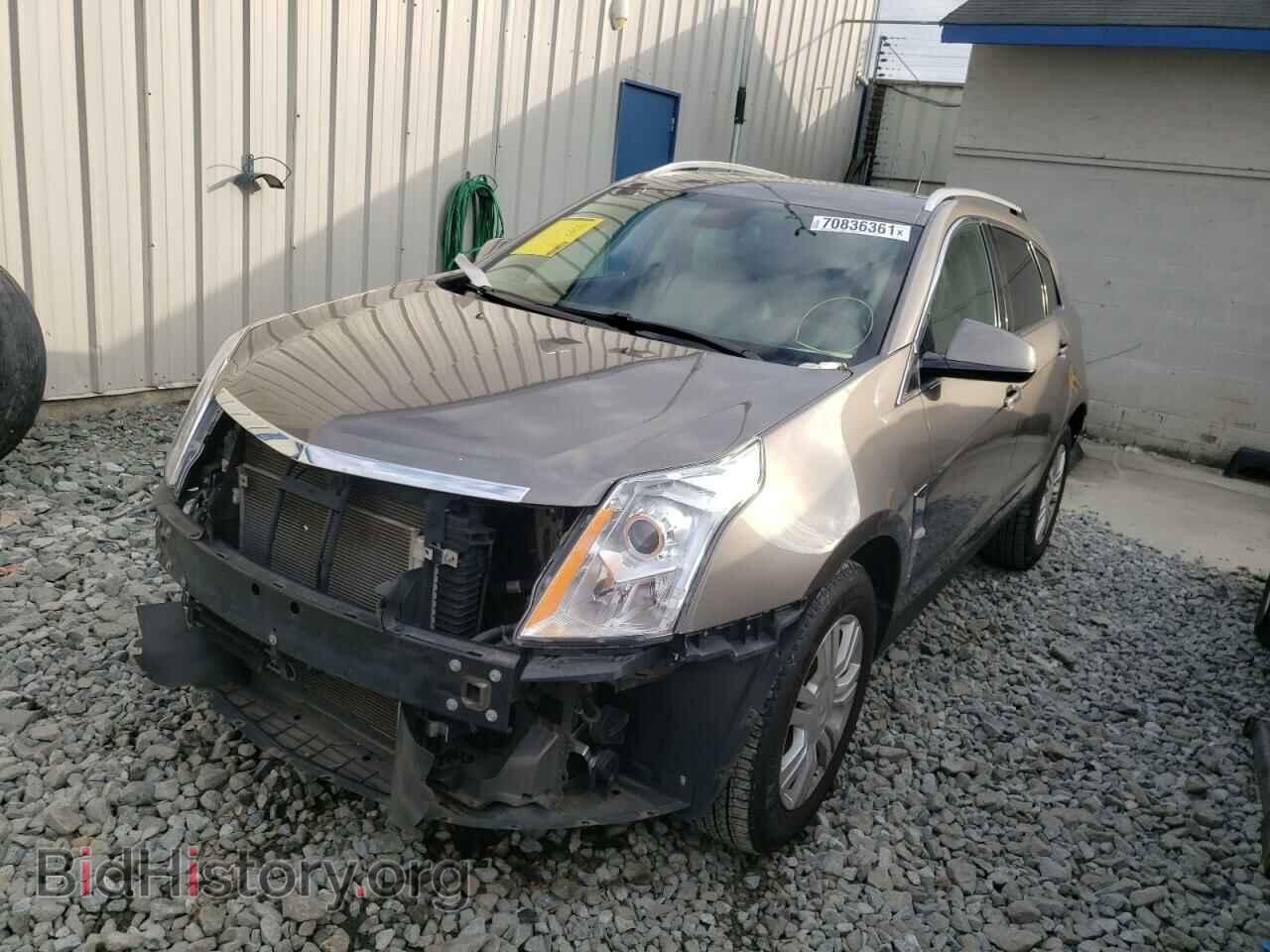 2012 CADILLAC SRX - VIN: 3GYFNAE31CS545877 - Фото 2