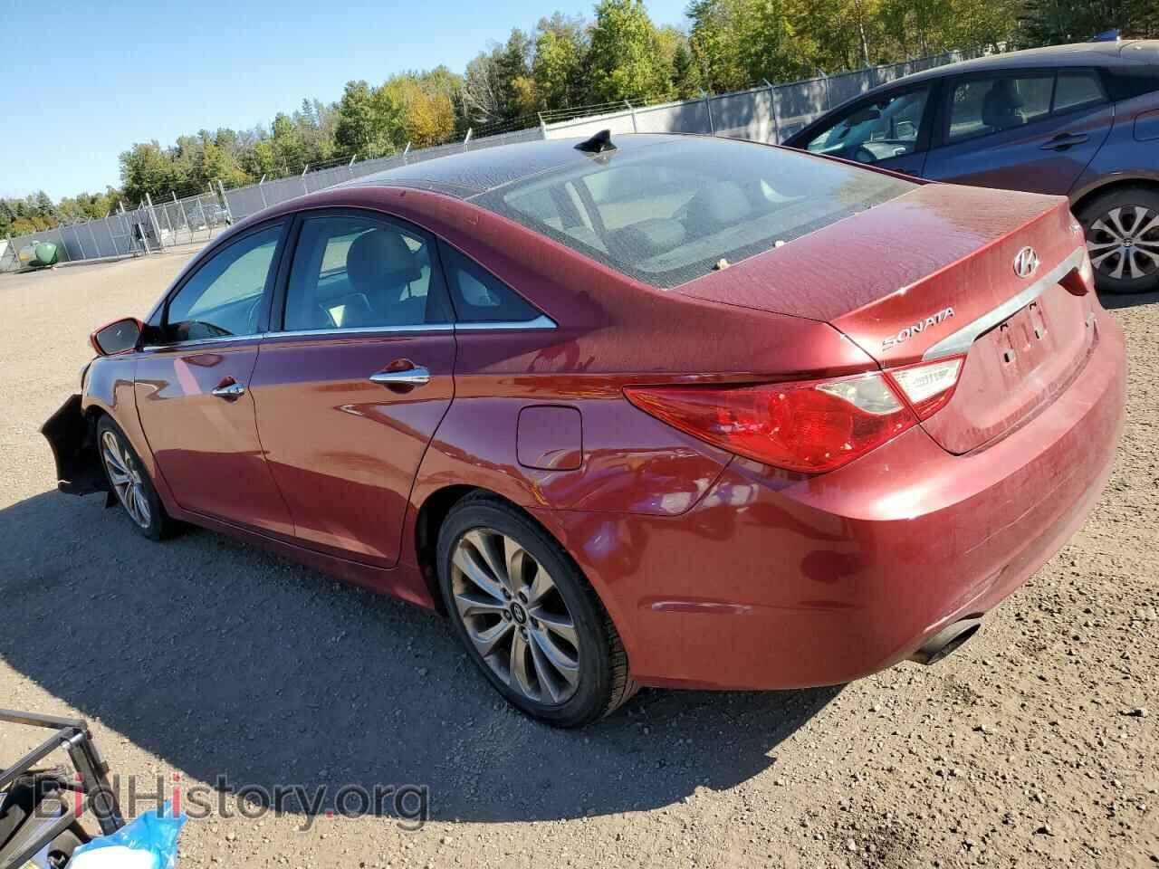 2013 HYUNDAI SONATA - VIN: 5NPEC4AB5DH583646 - Фото 2