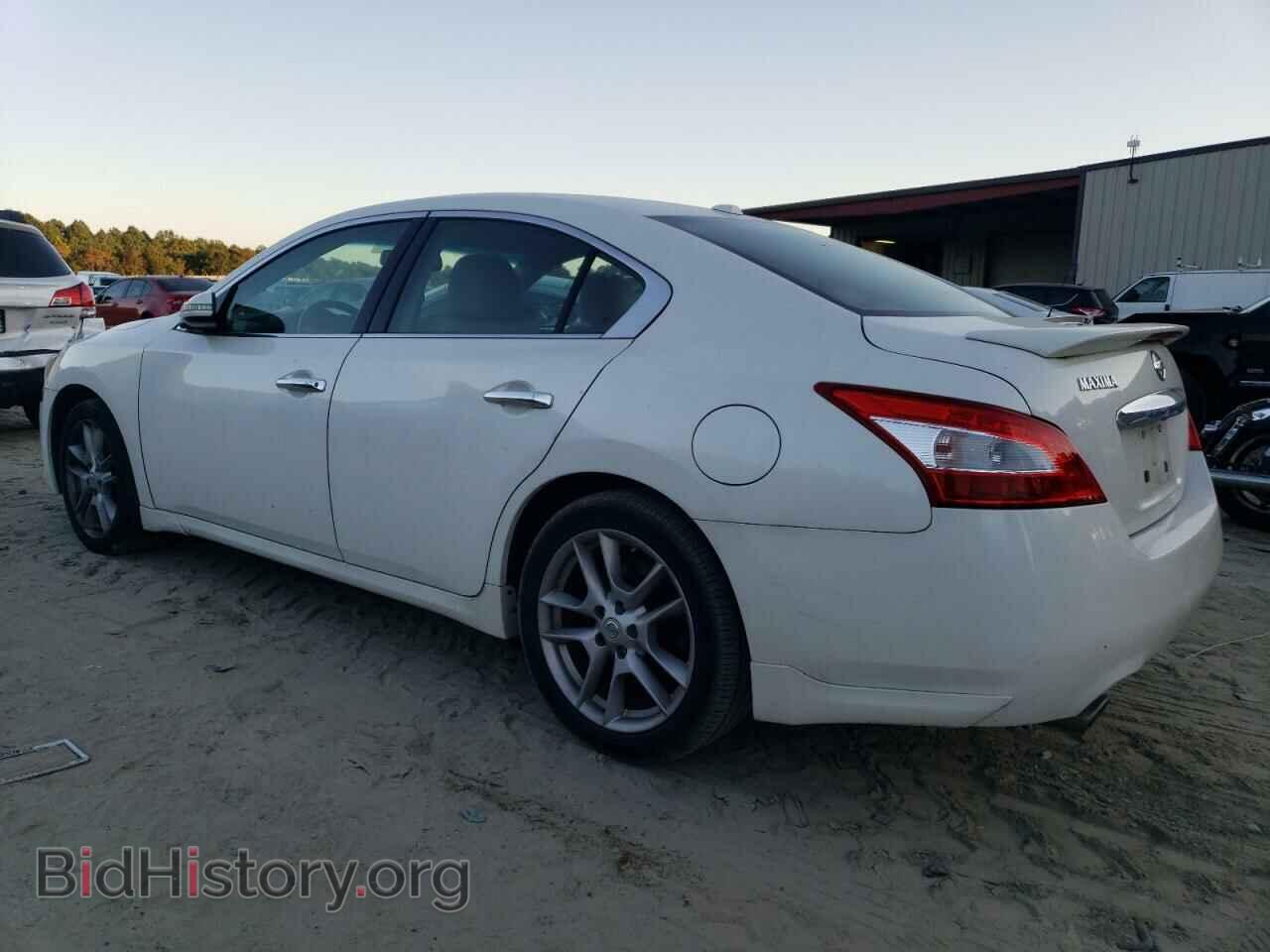 2011 NISSAN MAXIMA - VIN: 1N4AA5AP4BC833334 - Фото 2