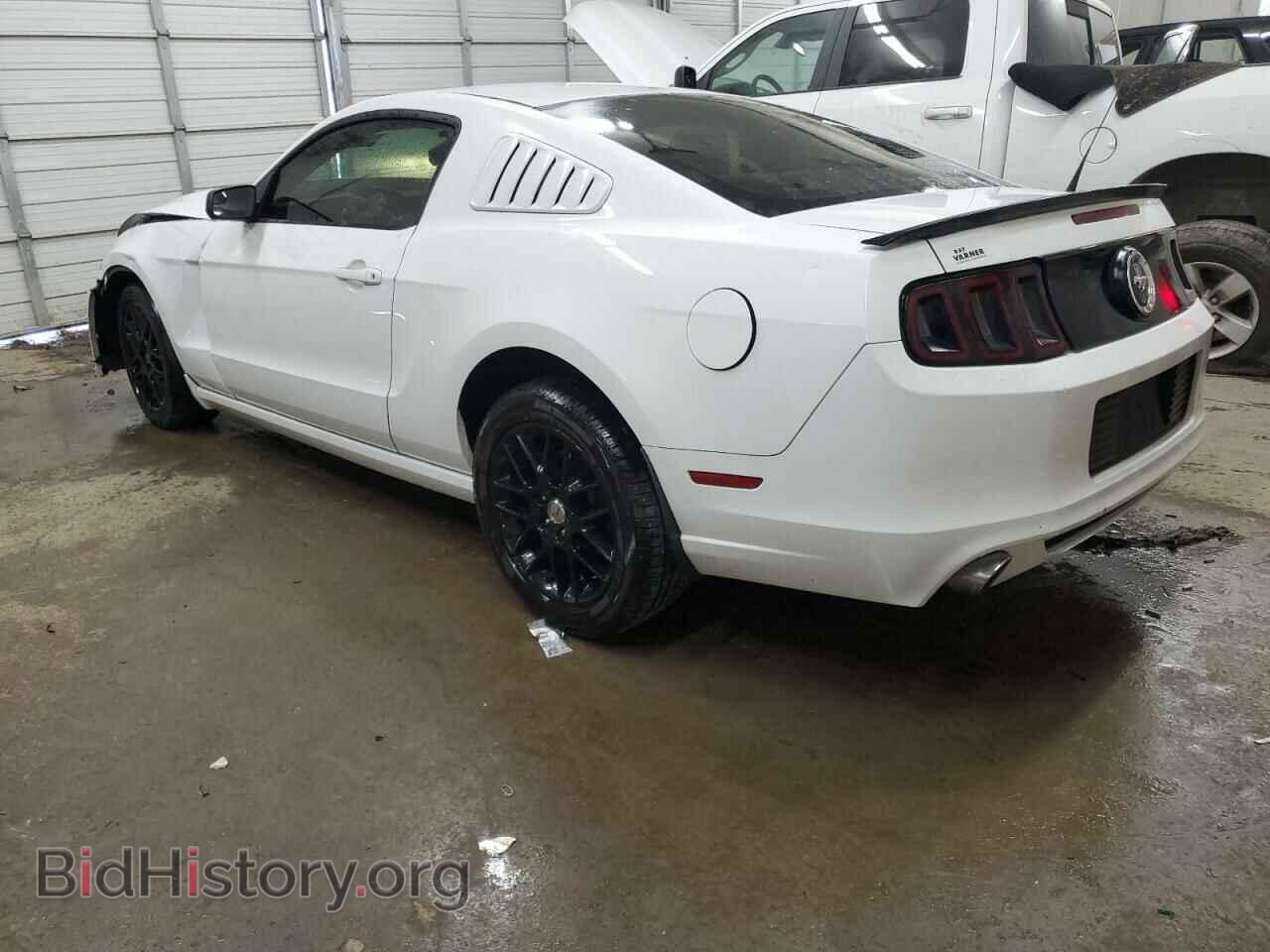 2014 FORD ALL Models - VIN: 1ZVBP8AM0E5202994 - Фото 2