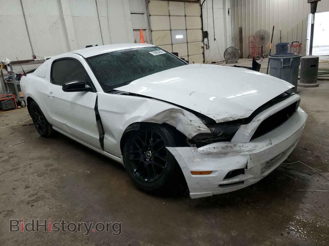 2014 FORD ALL Models - VIN: 1ZVBP8AM0E5202994 - Фото 4