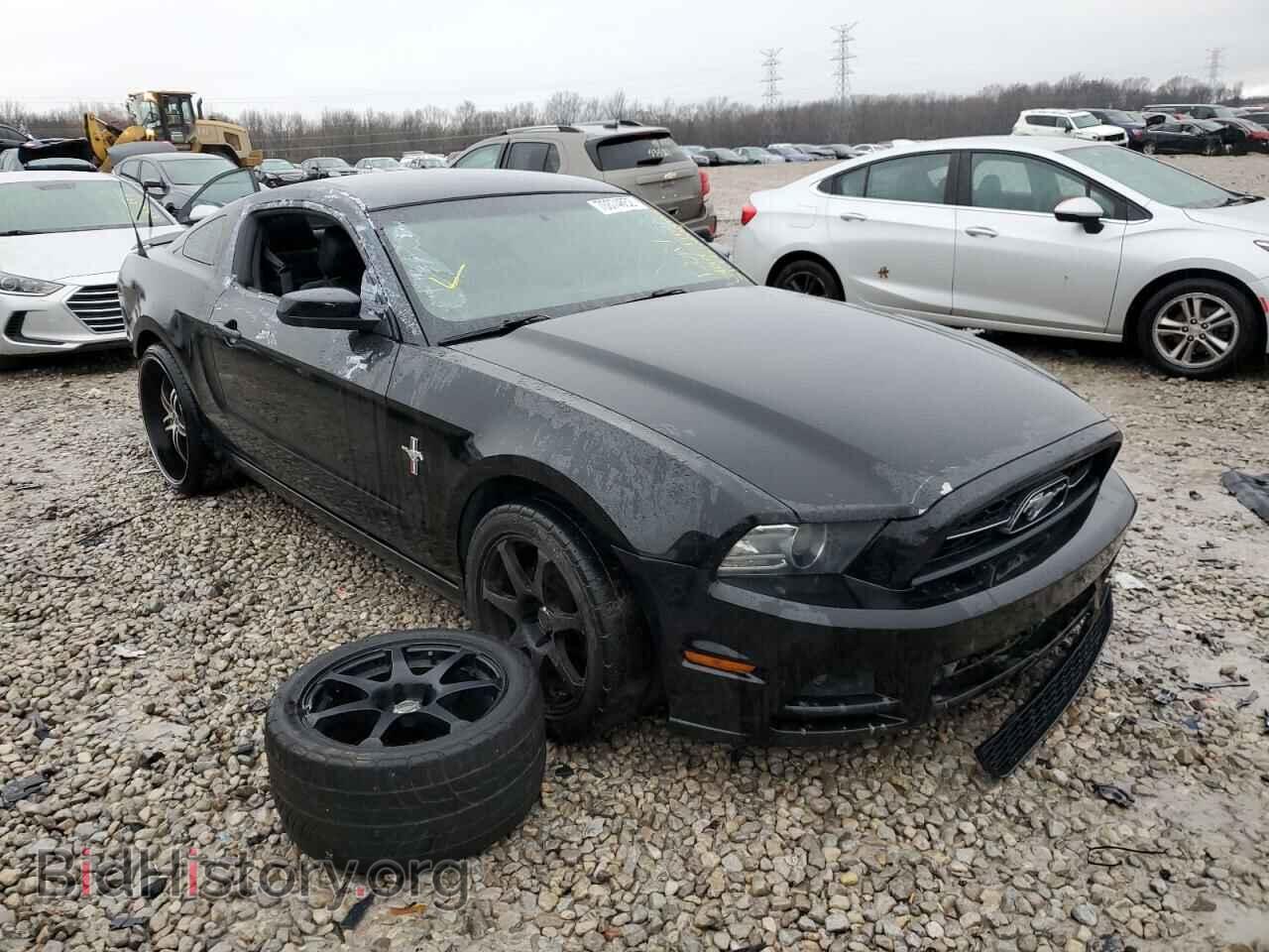2014 FORD MUSTANG - VIN: 1ZVBP8AM4E5209429 - Фото 4
