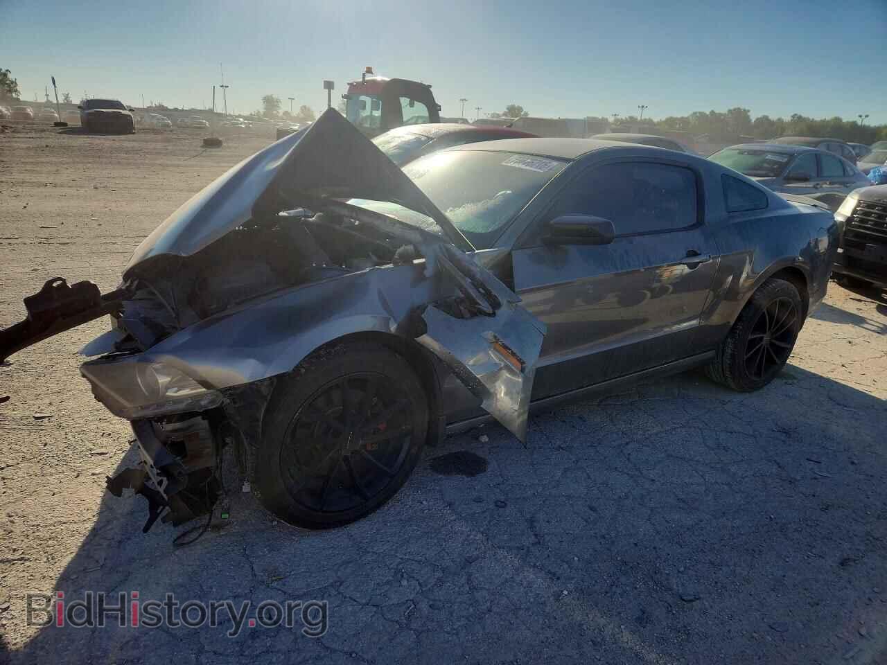 Фотография 1ZVBP8AM4E5219216 - FORD MUSTANG 2014
