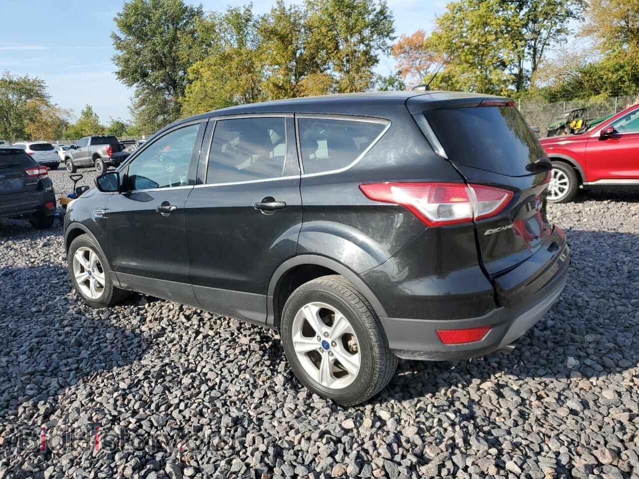 2014 FORD ESCAPE - VIN: 1FMCU0GX7EUD66652 - Фото 2