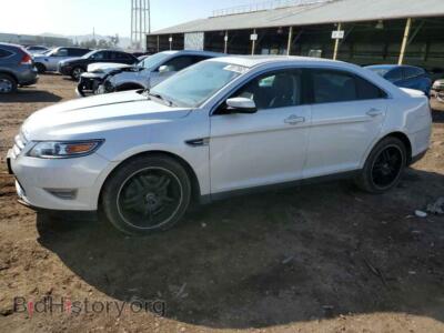 2011 Ford TAURUS Taurus SHO, белый — VIN 1FAHP2KT9BG149329, Copart