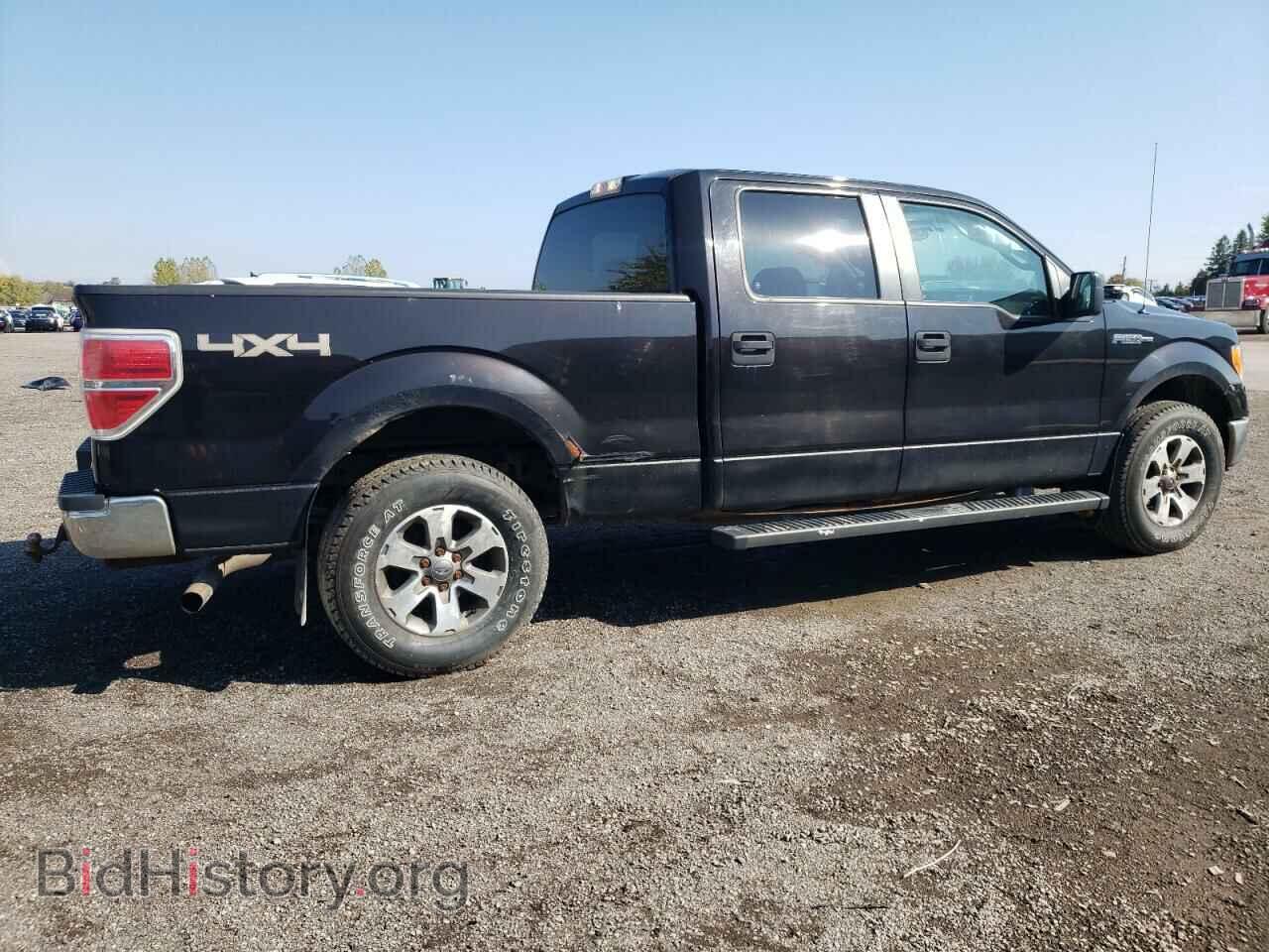 2013 FORD F-150 - VIN: 1FTFW1EF1DFD59842 - Фото 3