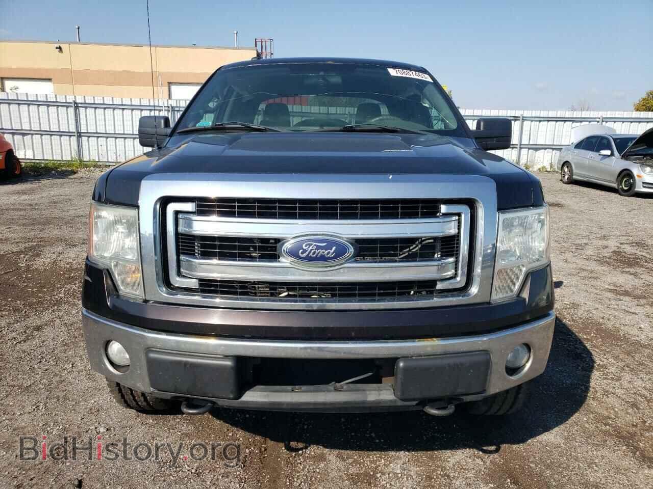 2013 FORD F-150 - VIN: 1FTFW1EF1DFD59842 - Фото 5