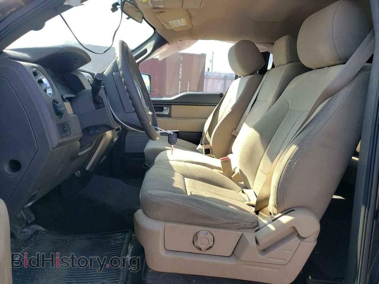 2013 FORD F-150 - VIN: 1FTFW1EF1DFD59842 - Фото 7