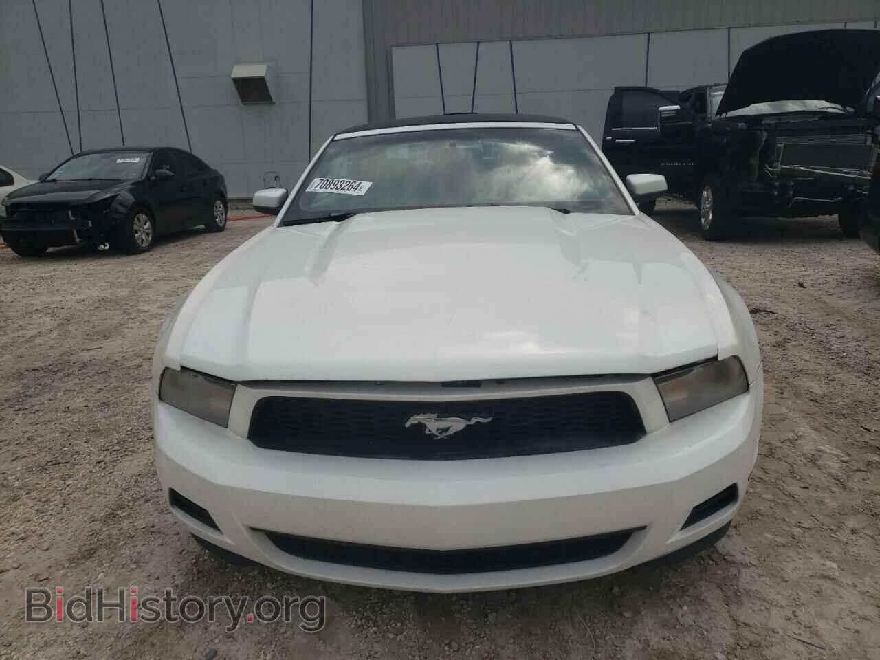 2010 FORD ALL Models - VIN: 1ZVBP8EN2A5173933 - Фото 5