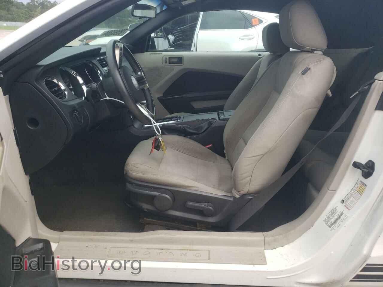 2010 FORD ALL Models - VIN: 1ZVBP8EN2A5173933 - Фото 7