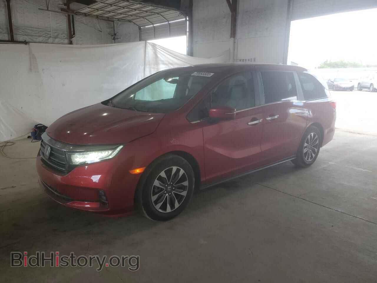 Фотография 5FNRL6H65PB063178 - HONDA All Models 2023