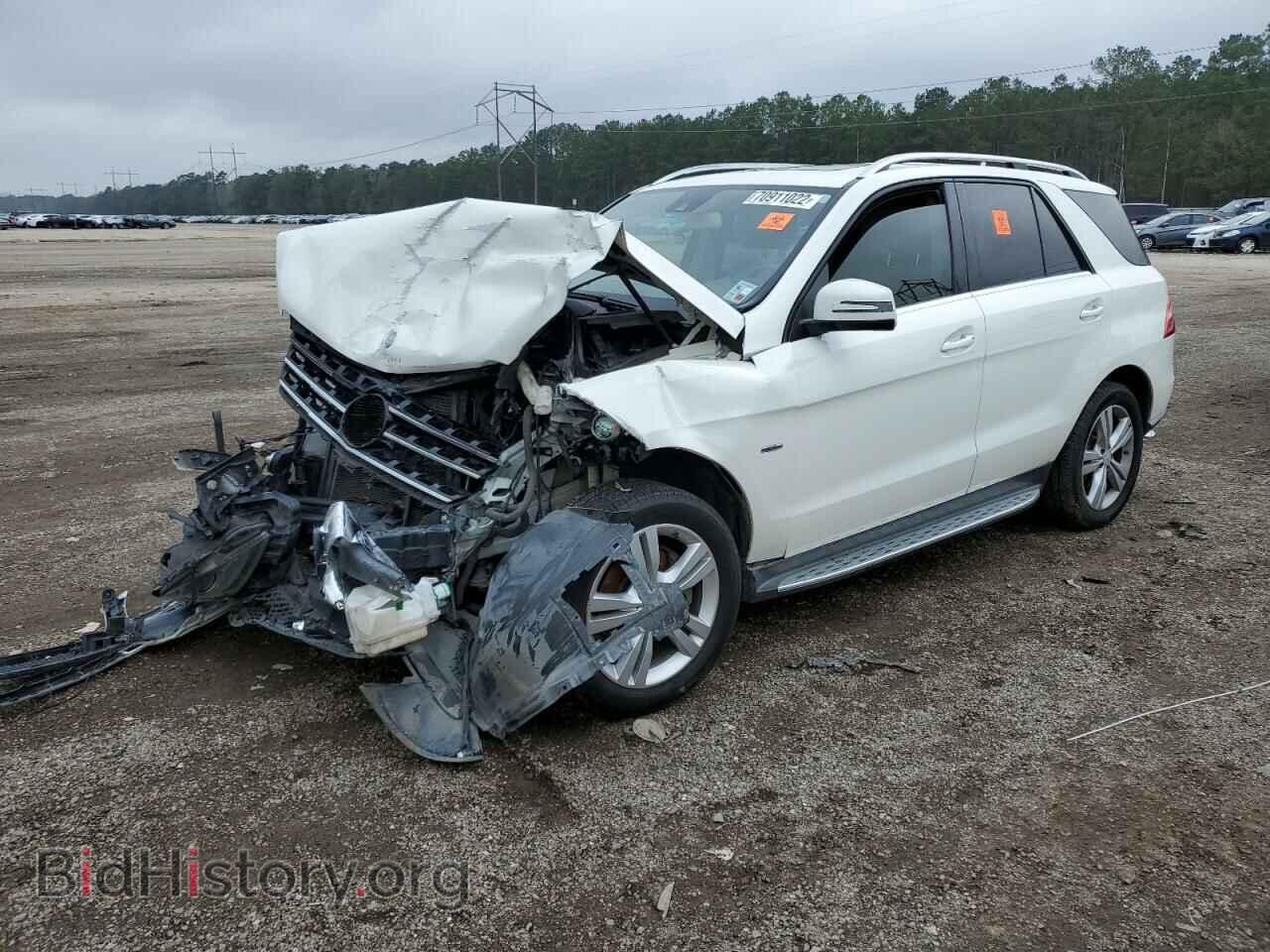 Photo 4JGDA5HB2CA070644 - MERCEDES-BENZ M-CLASS 2012